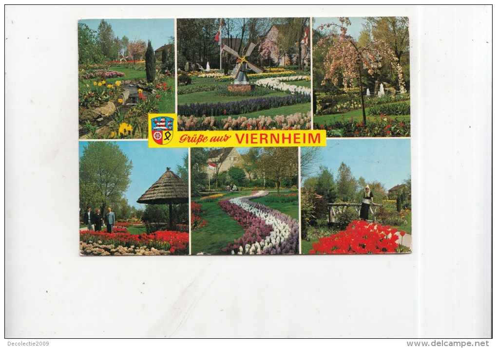BT13351 Viernheim Hessen Tulpenschau Im Tivoli Park    2 Scans - Viernheim