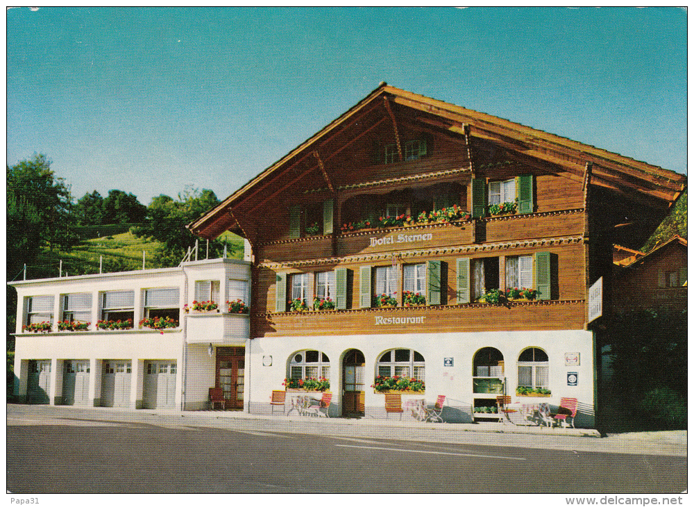 SUISSE - FAULENSEE - Hôtel Sternen Und Strandbad  - Propr: M. Schor- Hauck - Ernen