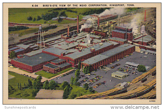 Tennessee Kingsport Birds Eye View Mead Coporation - Johnson City