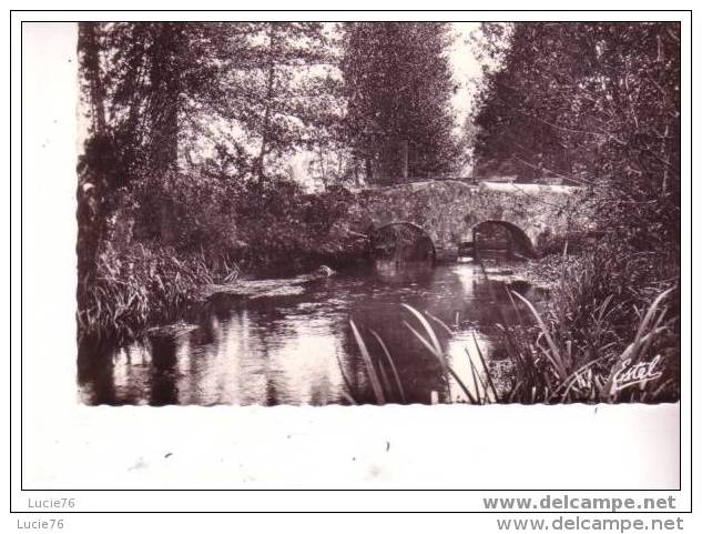 MARCILLY SUR EURE -  Vue Sur Le COUENON  - N° 21845 - Marcilly-sur-Eure