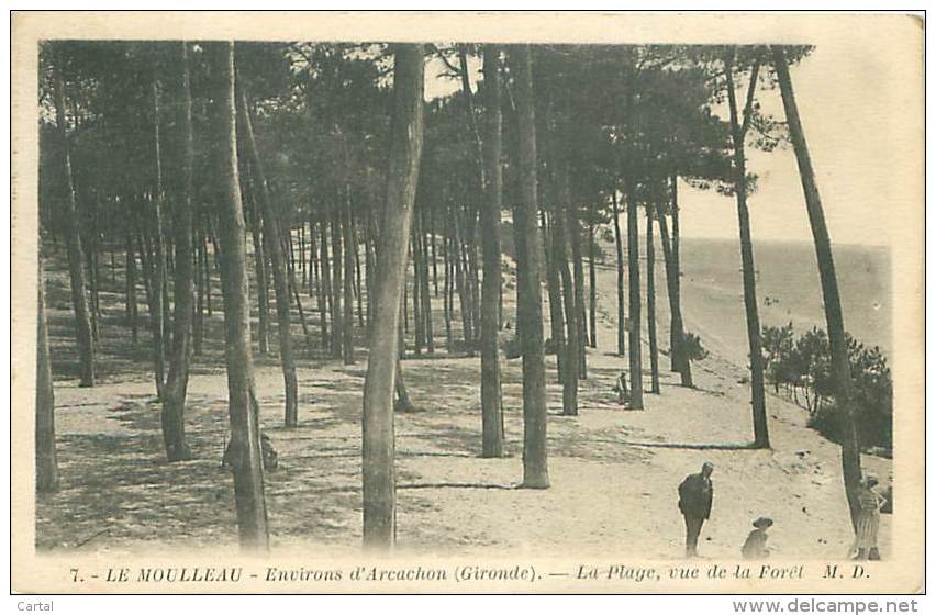 33 - LE MOULLEAU - Environs D'Arcachon - La Plage, Vue De La Forêt (M.D. 7) - Autres & Non Classés