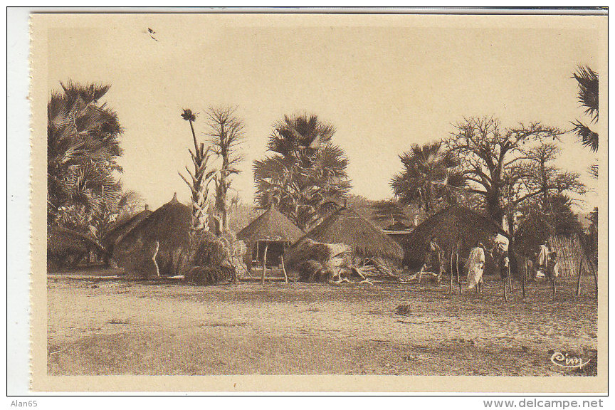 Senegal Village, Afrique Occidentale Francaise Colony Era, C1920s/30s Vintage Postcard - Senegal