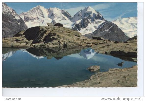 (CH217) FUORCLA SURLEJ . BLICK AUF PIZ BERNINA UND PIZ ROSSEG - Bern