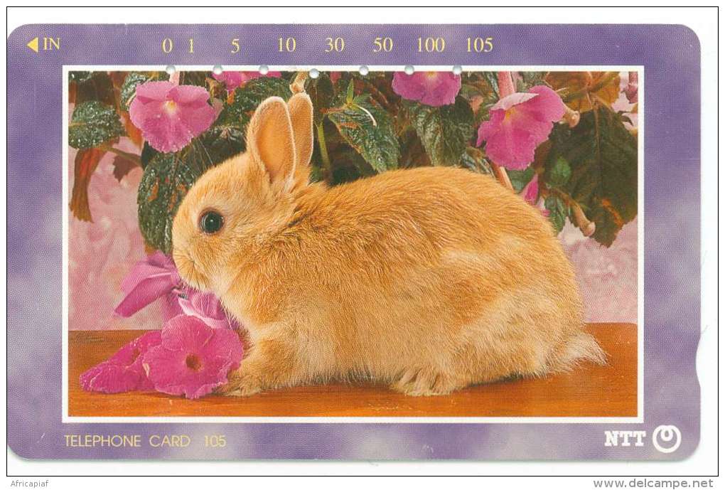 JAPON  TELECARTE LAPIN N° 231-291 - Conejos
