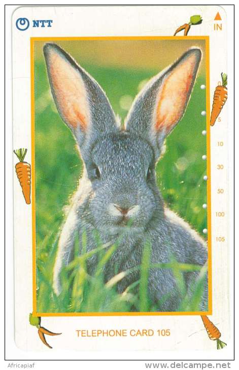 JAPON  TELECARTE LAPIN N° 231-265 - Kaninchen