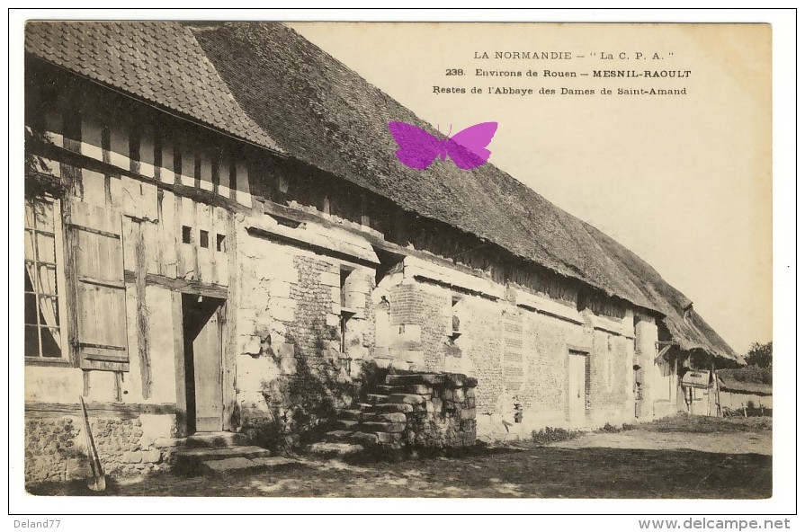 MESNIL-RAOULT - Restes De L´Abbaye Des Dames De Saint-Amand - Autres & Non Classés