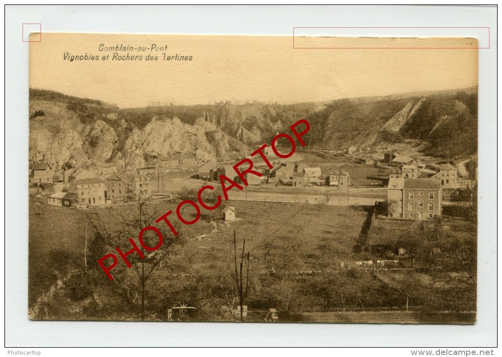 COMBLAIN Au PONT-Vignobles Et Rochers Des Tartines-BELGIQUE-BELGIEN- - Comblain-au-Pont