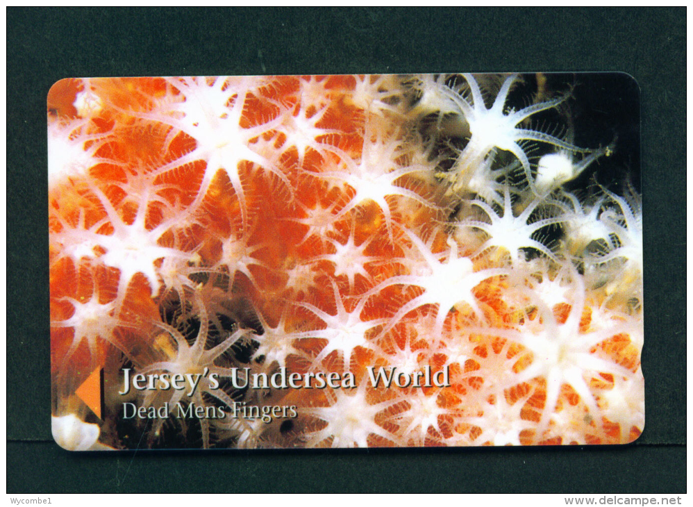 JERSEY - Magnetic Phonecard As Scan - [ 7] Jersey Und Guernsey