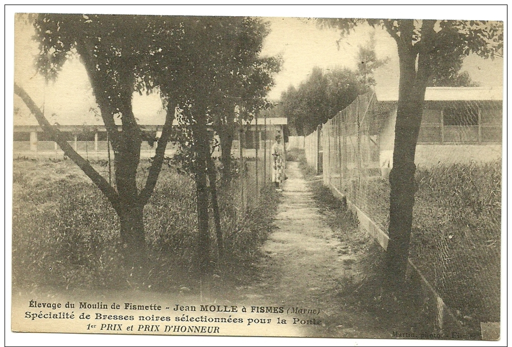 Elevage Du Moulin De Fismette - Jean Molle à FISMES - Fismes