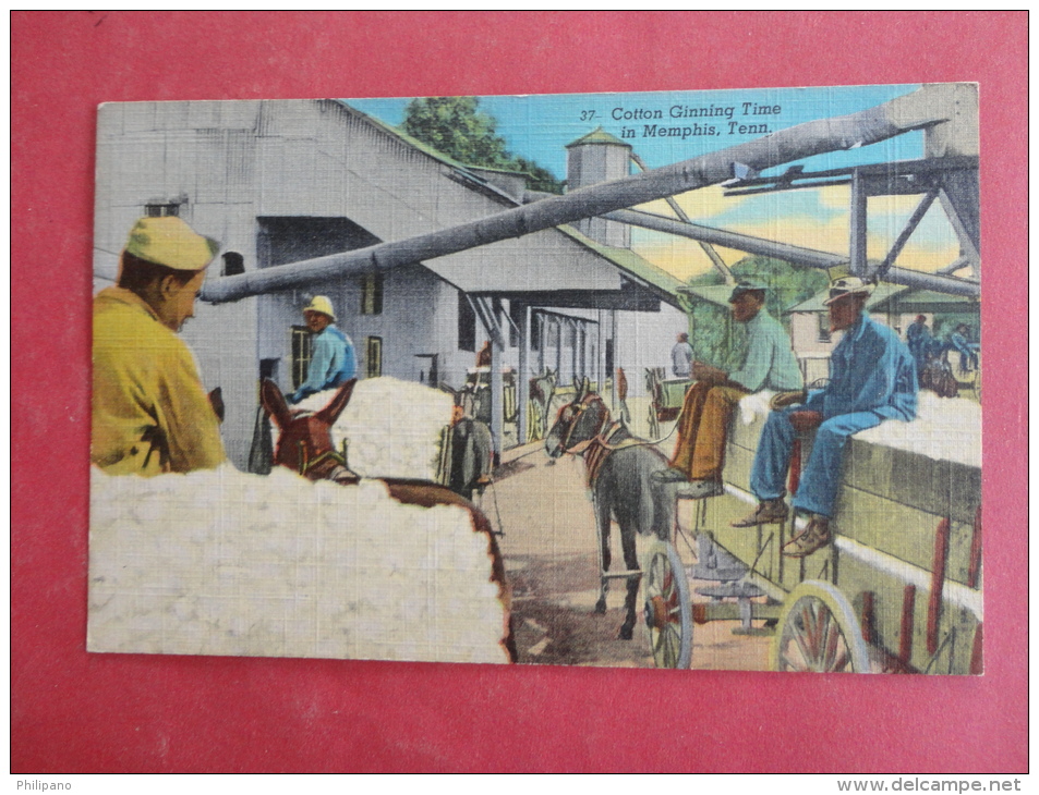 Tennessee > Memphis  Cotton Ginning Time-- Linen  Not Mailed=====    Ref  979 - Memphis