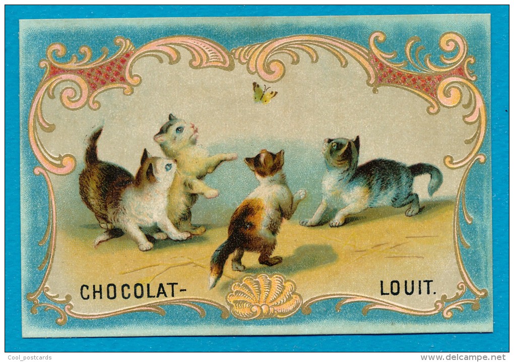 PUB. CHROMO, CHOCOLAT LOUIT, THEME CHATS, PAPILLON, TRE BON ETAT, 12 X 8 Cm - Louit