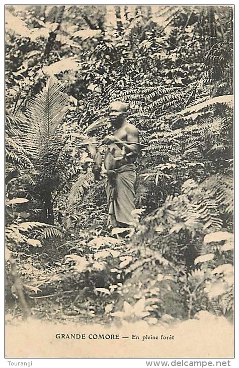 Mai13 1556 : Grande Comore  -  Forêt - Comores