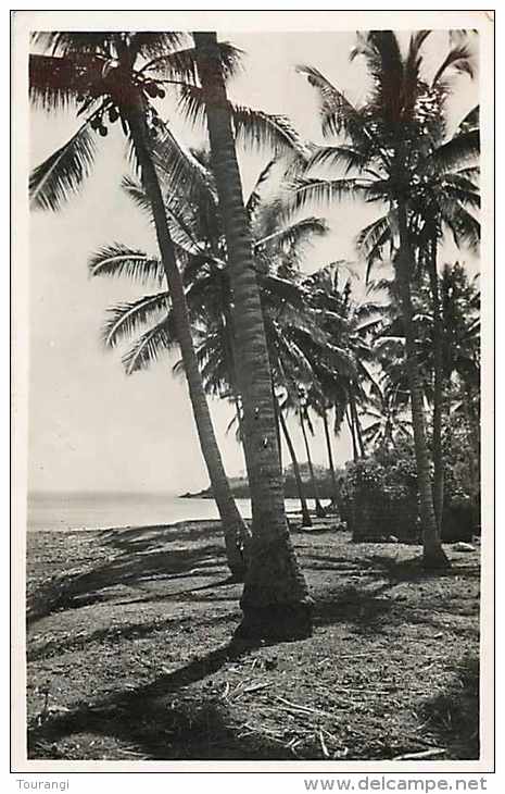 Mai13 1566 : Mayotte  -  Kongo  -  Rivage Mayottais - Comores