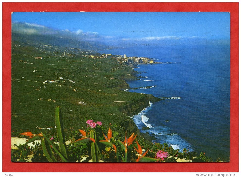 * ESPAGNE- TENERIFE-Litoral De La Zona Norte (Carte Voyagée) - Tenerife