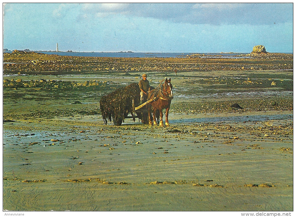 L'Armor Pleubian - Le Ramassage Du Goëmon. Au Loin, Le Phare Des Héaux Et Min Buos - Pleubian