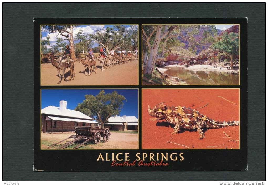 Australie - Alice Springs - Multivues - Outback
