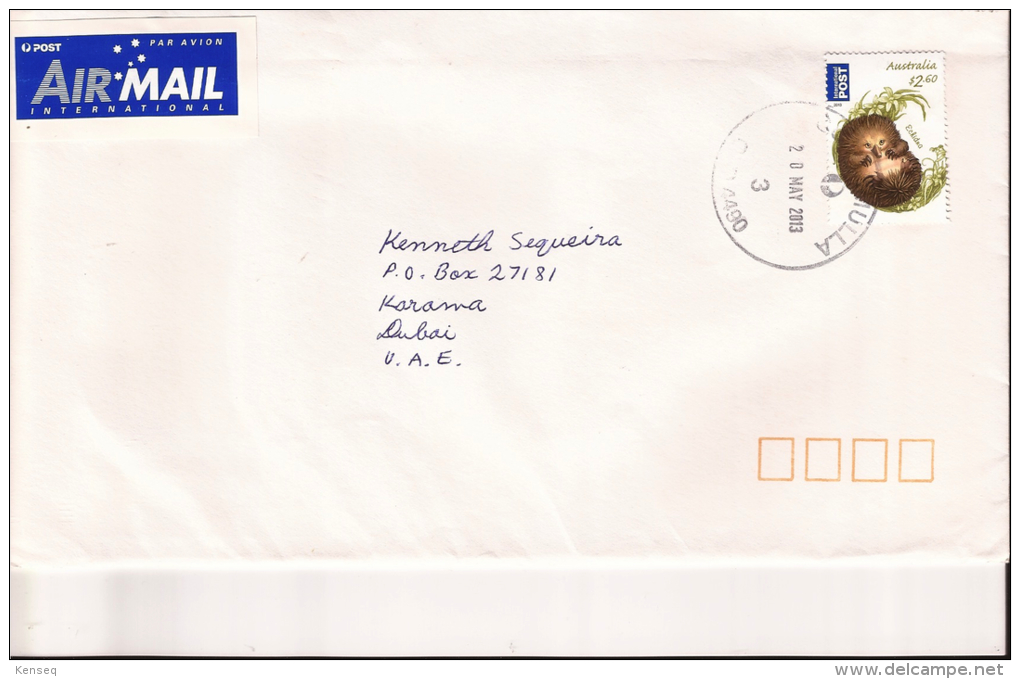 Australia 2013 Used Cover Echidna - Lettres & Documents