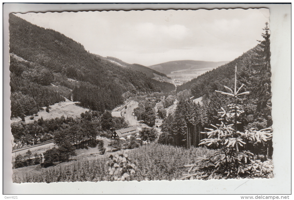 5787 OLSBERG - STEINHELLE, Blick Auf Olsberg 1962 - Meschede