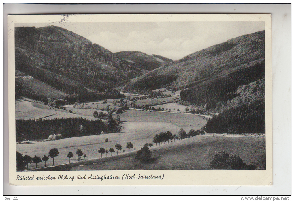 5787 OLSBERG, Ruhrtal Zwischen Olsberg Und Assinghausen 1953 - Meschede