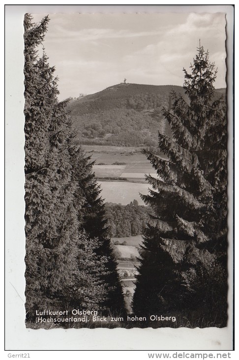 5787 OLSBERG, Blick Zum Hohen Olsberg 1962 - Meschede