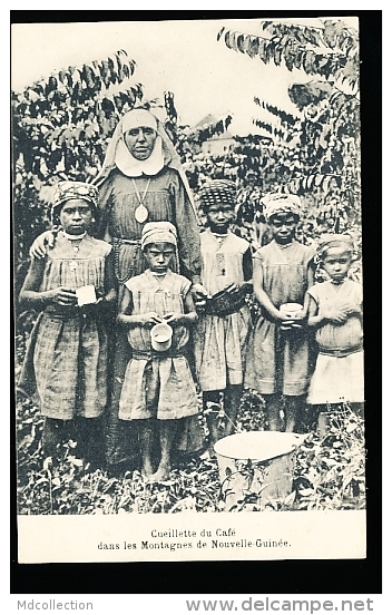 PAPOUASIE NOUVELLE GUINEE DIVERS / Cueillette Du Café Dans Les Montagnes / - Papouasie-Nouvelle-Guinée