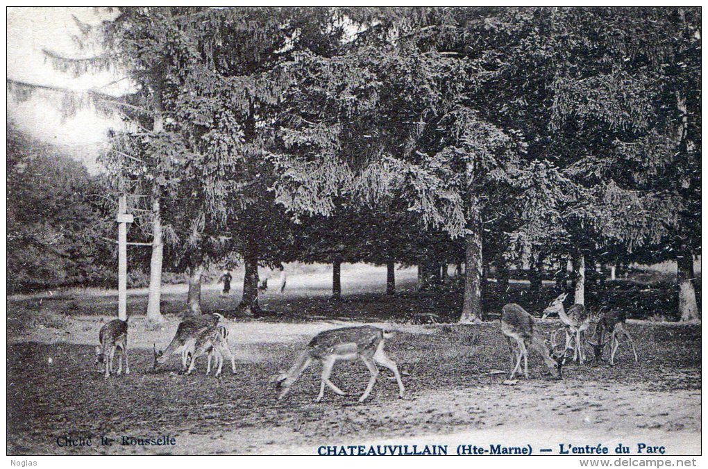 CHATEAUVILLAIN - TRES BELLE CARTE - SEPIA - DE L'ENTREE DU PARC AVEC UN PETIT TROUPEAU DE DAIMS - TOP !!! - Chateauvillain