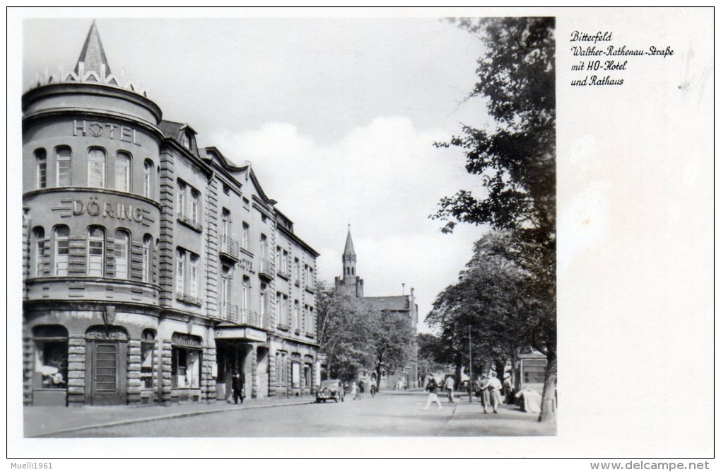 AK Bitterfeld, Walter Rathenau Str. Mit HO Und Rathaus, Ungel. 1960 - Bitterfeld