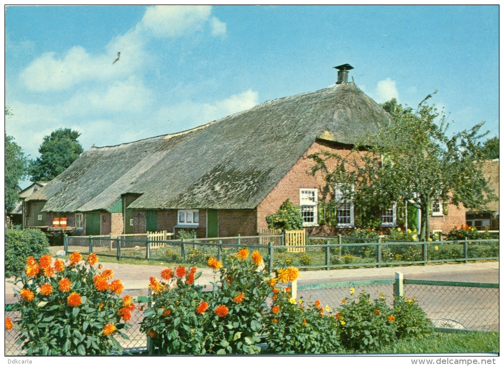 Groeten Uit Staphorst - Staphorster Boerderij - Other & Unclassified