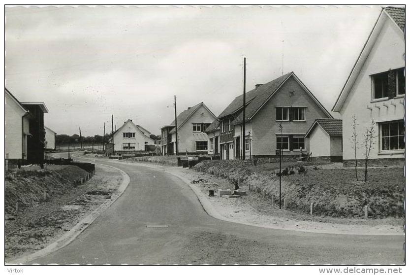 Hoeselt : Nieuwe Wijk - Hoeselt