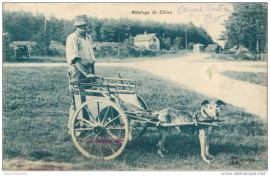 Argent Sur Sauldre: Attelage De Chien Voiture A Chiens - Argent-sur-Sauldre