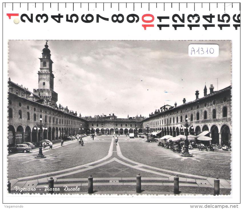 A1310 VIGEVANO PIAZZA DUCALE ANIMATA - Vigevano