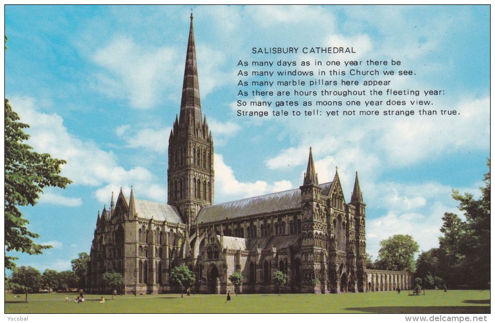 Cp , ANGLETERRE , SALISBURY  , Cathedral - Salisbury