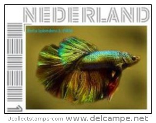 Nederland 2012 Ucollect  Vis 3 Betha Splendens  Postfris/mnh/sans Charniere - Neufs