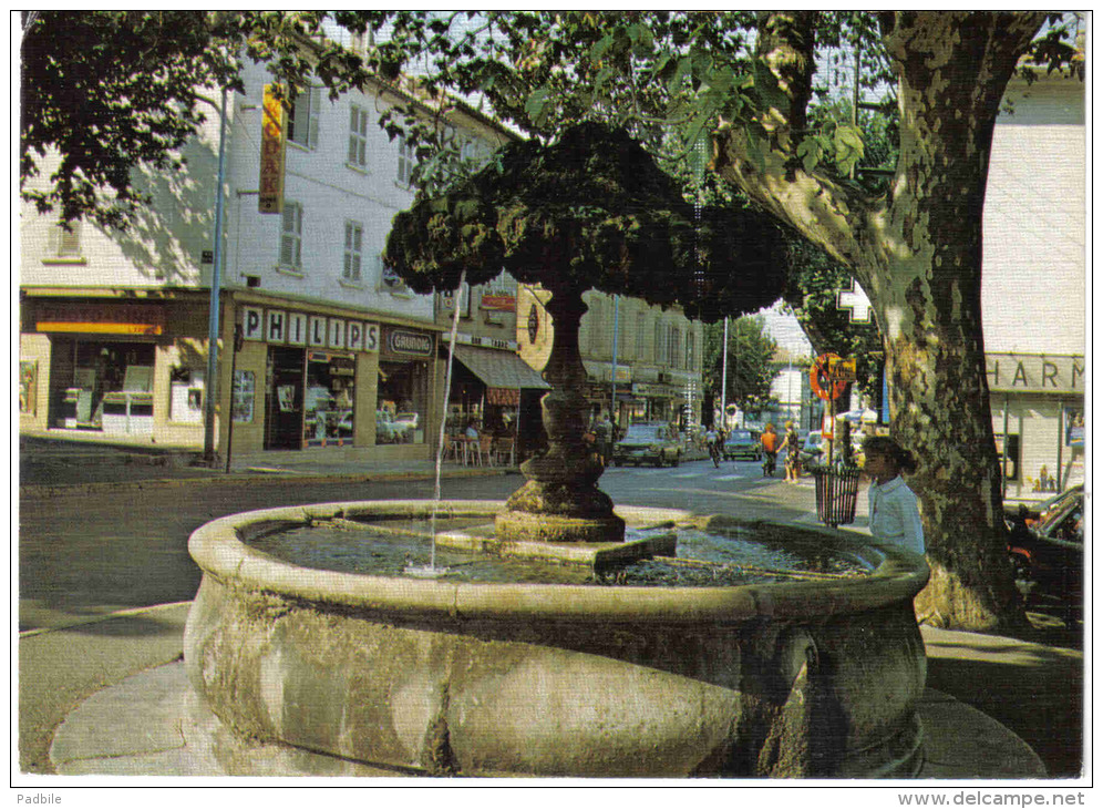 Carte Postale 83. La Garde  Sa Fontaine Trés Beau Plan - La Garde Freinet