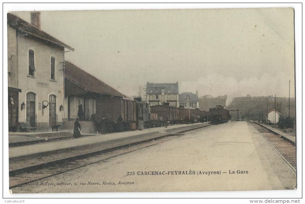 CARCENAC-PEYRALES (Aveyron) - La Gare-  Arrivée D´un Train - Animée - N°225 - Colorisée - Autres & Non Classés