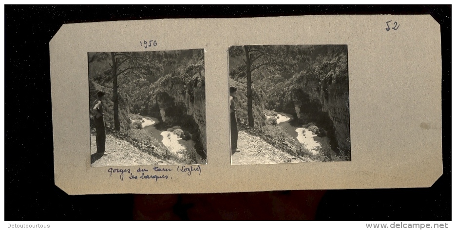 Photographie Steréroscopique 3D :  Le Tarn Dans L'Aveyron Et Lozère Les Gorges Du Tarn En 1956 - Photos Stéréoscopiques