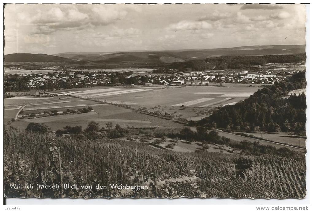 Cpsm, Wittlich (Allemagne), MBlick Von Den Weinbergen - Wittlich