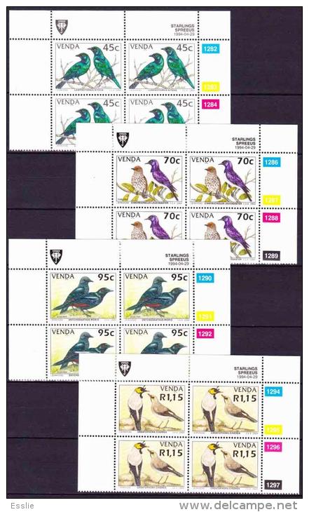 Venda - 1994 - Starlings - Complete Set Of Control Blocks - Sparrows