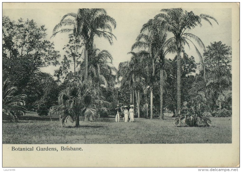 (392) Very Old Postcard - Carte Ancienne - Australia - QLD - Brisbane Botanical Gardens - Brisbane