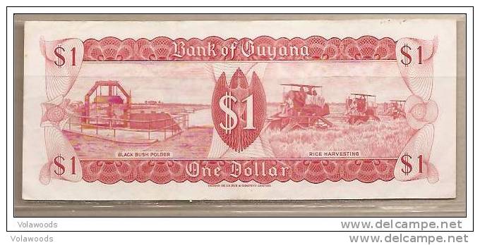 Guyana - Banconota Circolata Da 1 Dollaro P-21f - 1989 #19 - Guyana