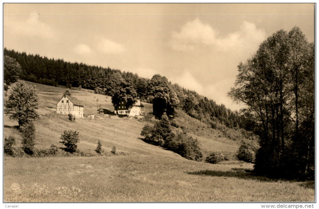 AK Vom Fotograf Schlegel Aus Reichenbach/Vogtland, Ung, 1966 - Reichenbach I. Vogtl.