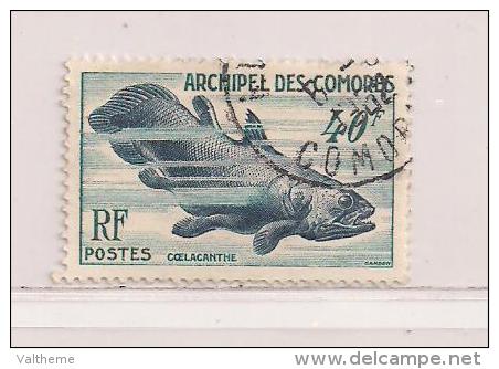 COMORES  ( FRCOM - 3 )  1954   N° YVERT ET TELLIER    N° 13 - Used Stamps