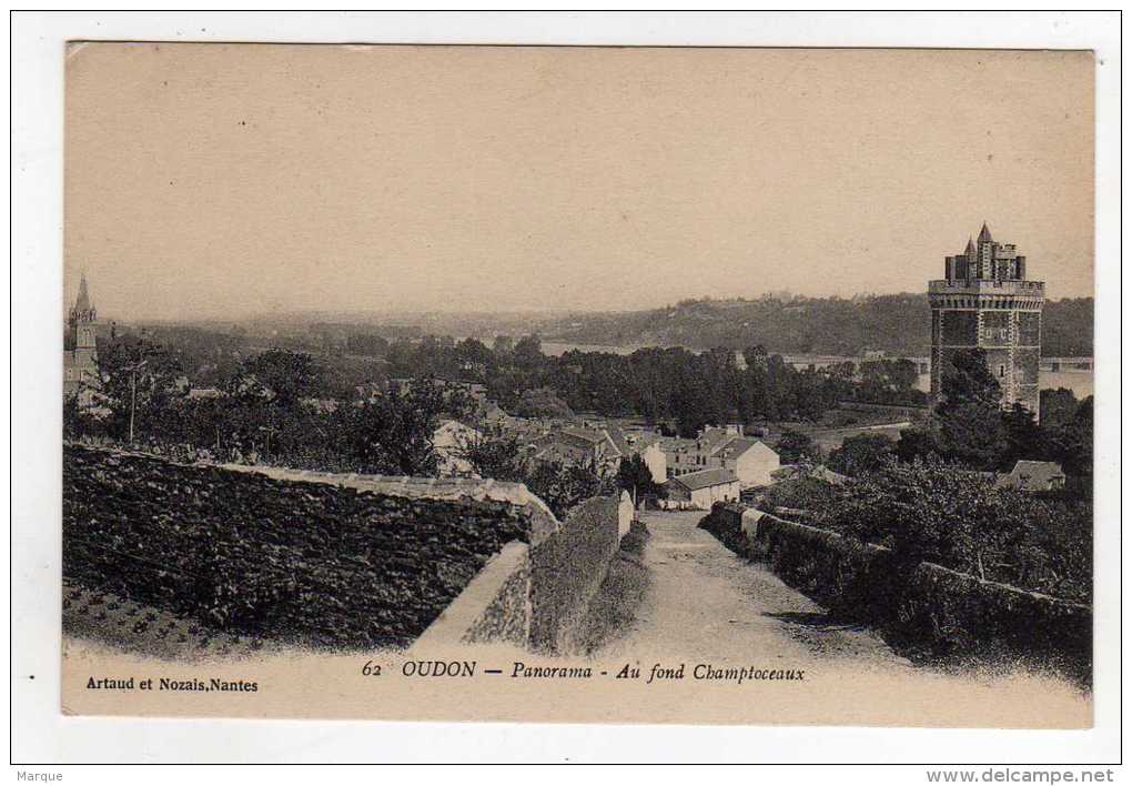 Cpa N° 62 OUDON Panorama Au Fond Champtoceaux - Oudon