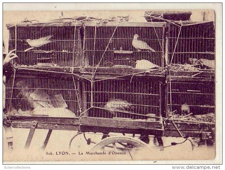 Lyon  69  La Marchande D'oiseaux  Pigeons - Andere & Zonder Classificatie