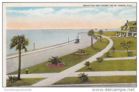 Florida Tampa Beautiful Bay Shore Drive - Tampa