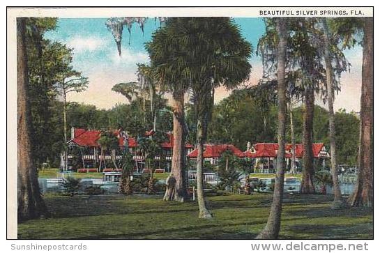 Florida Silver Springs Beautiful Silver Springs - Silver Springs