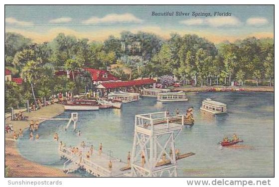 Florida Silver Springs Beautiful Silver Springs - Silver Springs