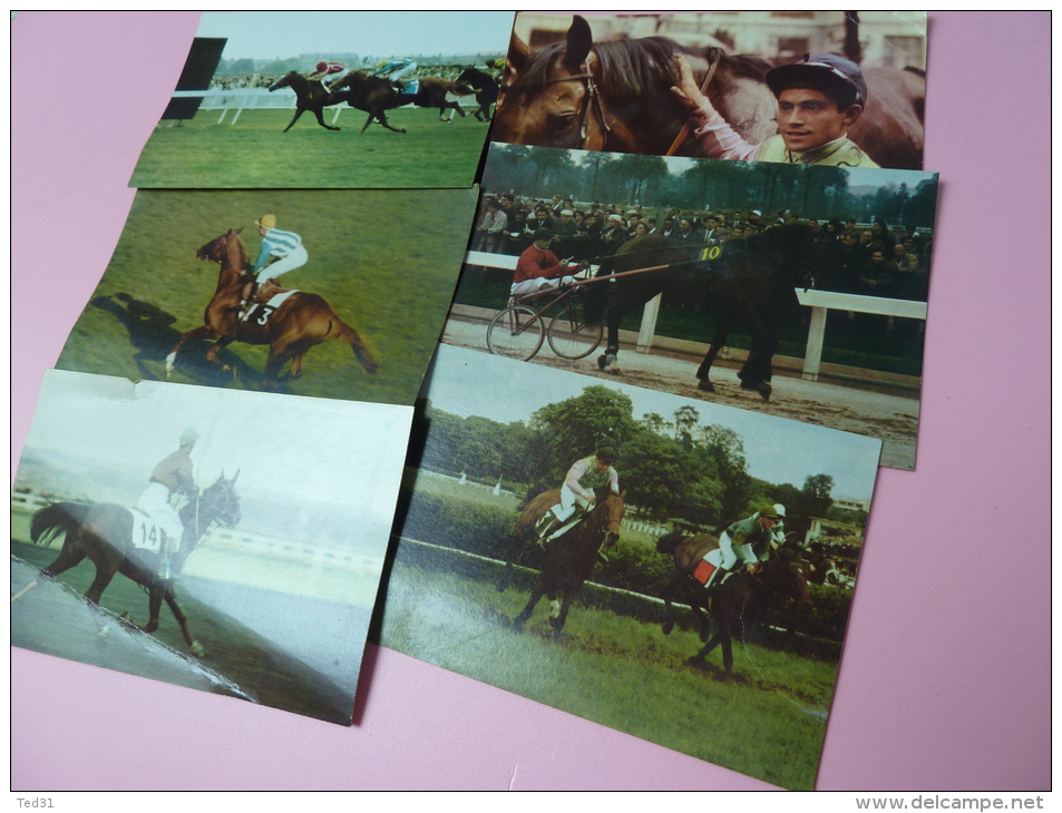 6 Calendriers Des Courses De Chevaux 1967  Vin Postillon Freddy Head Louis SAUVE  JC DESSAINT  A FAURE - Autres & Non Classés