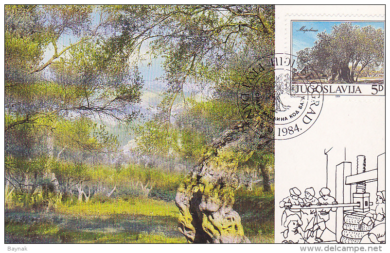 YU65  --  YUGOSLAVIA  --  CARTE MAXIMUM + FDC ( PRVI DAN )  --    OLD OLIVE IN MONTENEGRO - Cartes-maximum