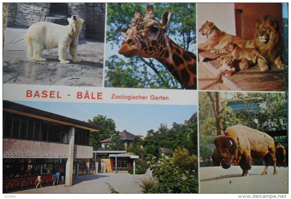 Zoo Basel Bale Garten - Autres & Non Classés